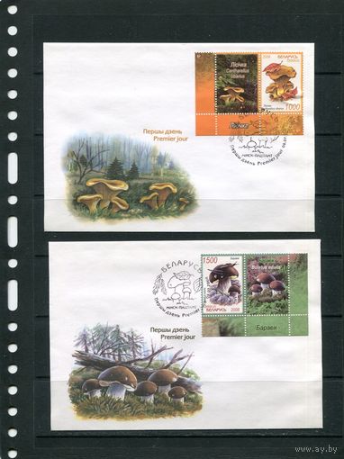 Беларусь 2008. КПД. Грибы. КПД с купонами