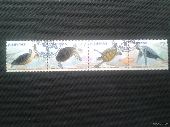 Филиппины, 2006. Черепахи, сцепка