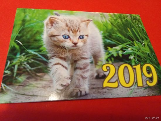 Календарик 2019г.