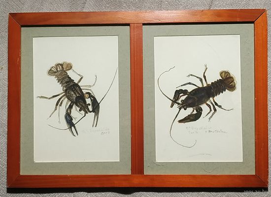 "Раки".