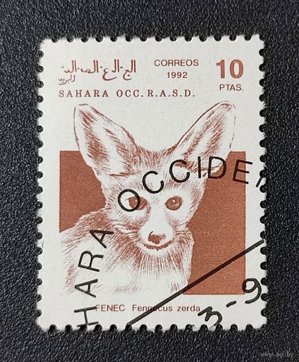 Марка Сахара Фауна 1992г. 1.46