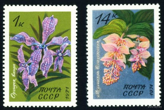 Тропические и субтропические растения СССР 1971 год 2 марки
