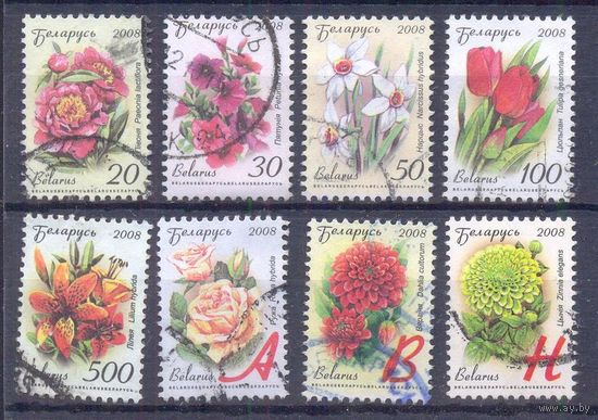 Беларусь стандарт цветы
