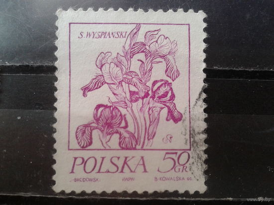 Польша 1974, Стандарт, Ирисы