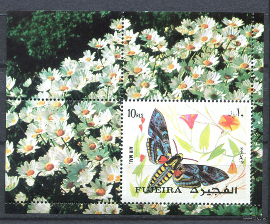 Фуджейра - 1972г. - Мотыльки - полная серия, MNH с полосой на клее [Mi bl. 134 A] - 1 блок