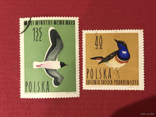Польша 1964 год. Птицы