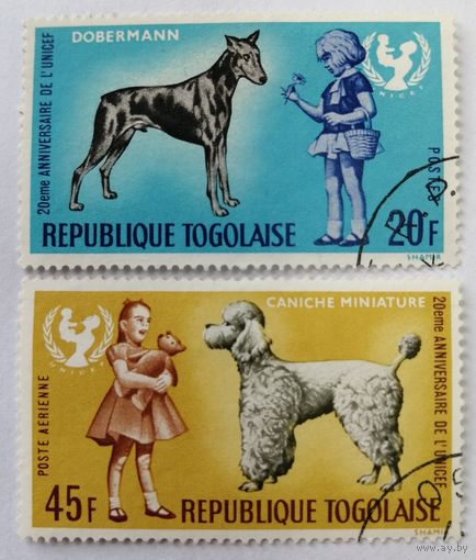 Того 1967. Собаки