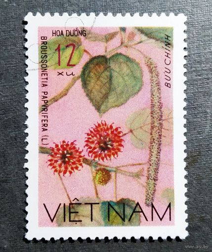 Марка Вьетнам 1977 год Флора