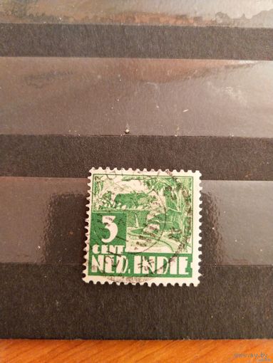 1934 голландская колония Ост-Индия фауна отличная сохранность марка боится воды (3-11)