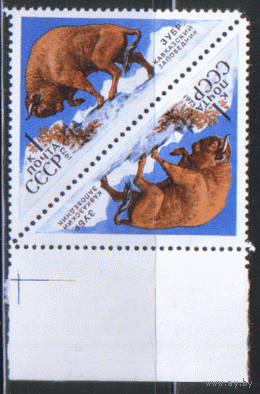 Зfu. 4187. 1973. Зубр. Nет-беш. ЧиСт.