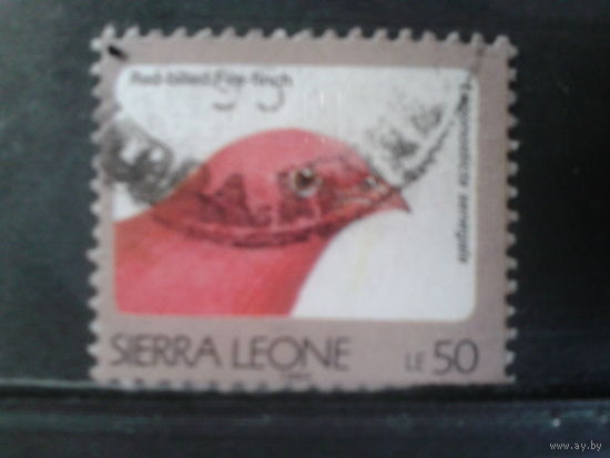 Сьерра-Леоне, 1994. Красноклювый амарант