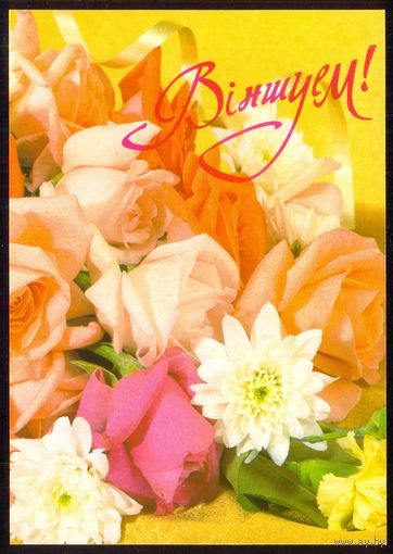 Беларусь ДМПК 2001 Вiншуем