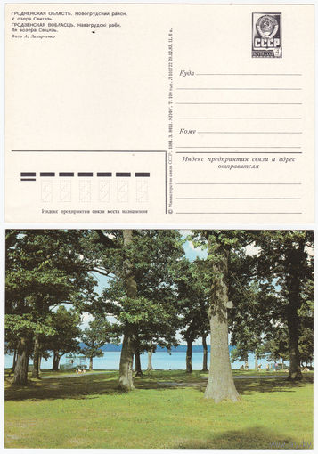 Открытка Гродненский р-н У озера Свитязь 1984