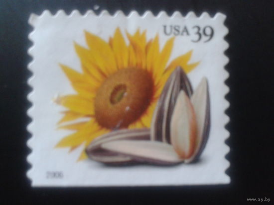 США 2006 стандарт, подсолнух