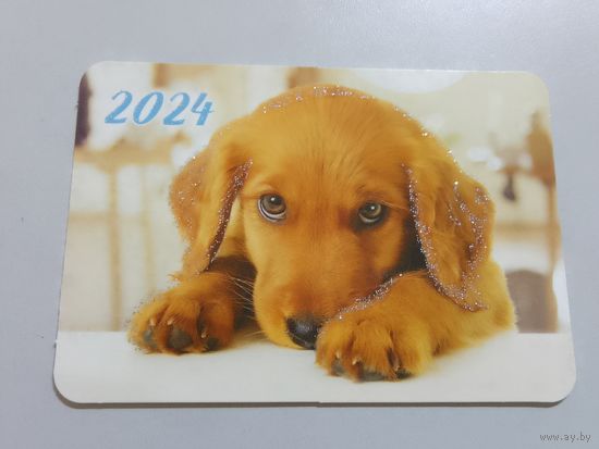Карманный календарик. Собака. 2024 год