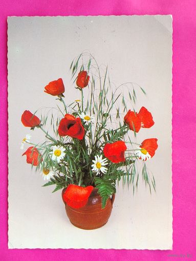 Будапешт. Цветы. Подписанная. 42.