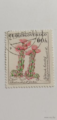 Чехословакия 1960. Цветы