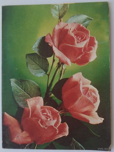 Телеграмма 1980г.