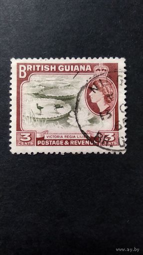 Великобритания. БРИТАНСКАЯ ГВИАНА\408с\ 1954 королева