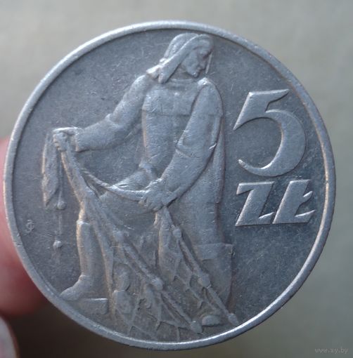 5 злотых 1959