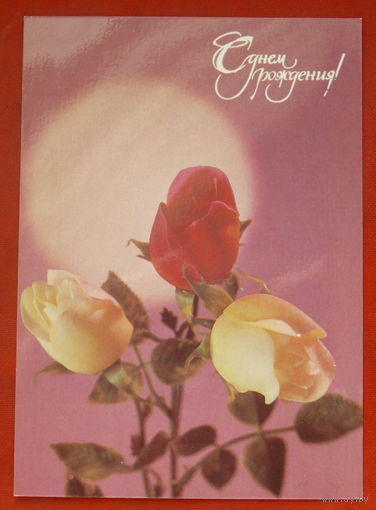 С днём рождения! Чистая. 1987 года. Фото Гидиримского. 156.