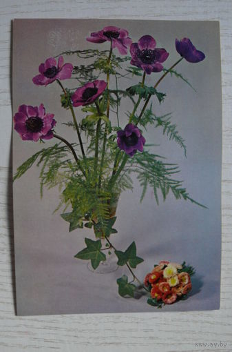 Ветреницы и маргаритки; чистая (изд. Польша).