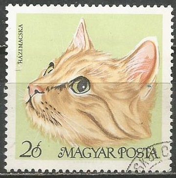 Венгрия. Курчавошерстный кот. 1968г. Mi#2387.