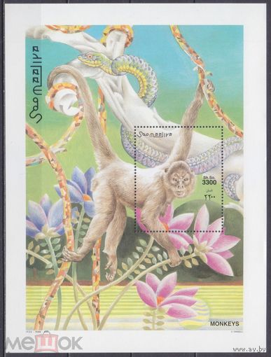 Сомали 2002 фауна приматы MNH