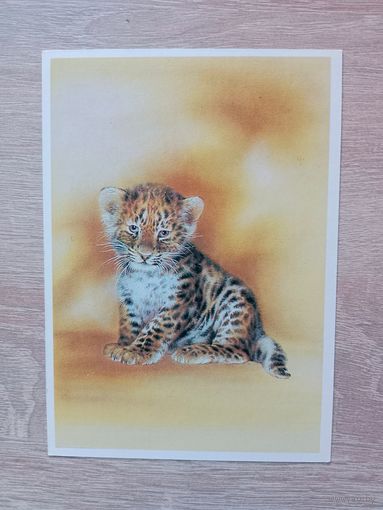 Исаков 1989 чистая