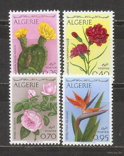 ФФ1 Алжир 1969 Птицы