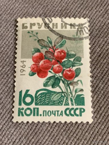 СССР 1964. Брусника. Марка из серии