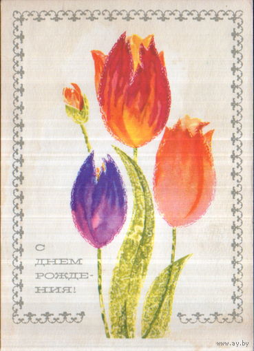 Чистая открытка 1968г. "С днем рождения! Тюльпаны" худ. Н. Круглов