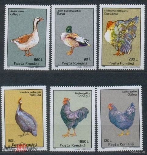 РУМЫНИЯ 1995г. ДОМАШНЯЯ ПТИЦА   MNH