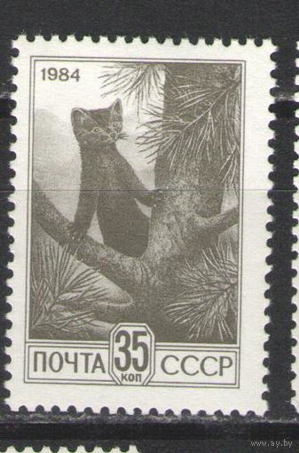 Марки СССР. 1984 г. Стандарт. Соболь. (норм.)