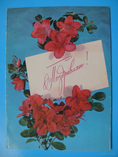 Поздравляю! 1980, двойная, подписана.