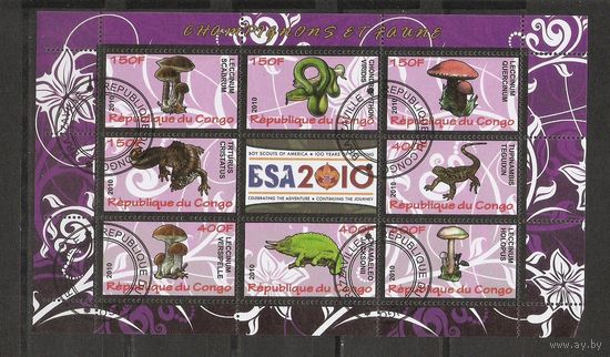 Я Конго 2010 Грибы Фауна