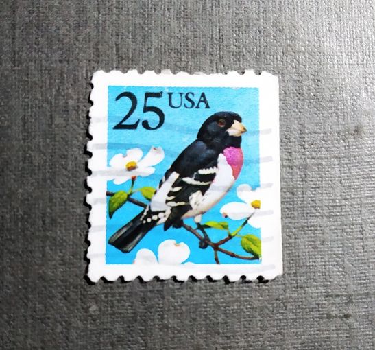 Марка США 1988 год Птица