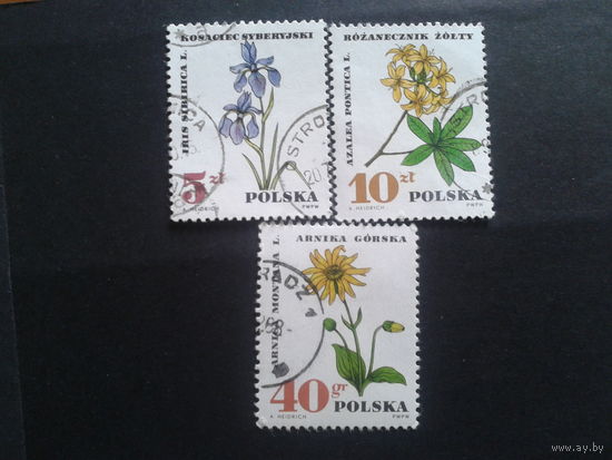 Польша 1967 цветы