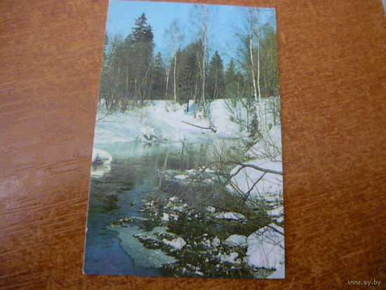 1982.Весна