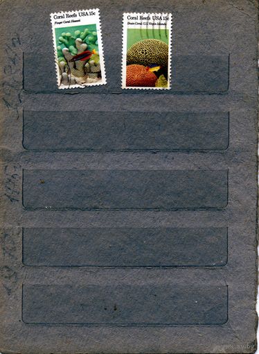 США, 1980 , кораллы, 2м