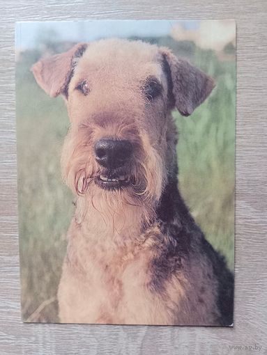 Календарик 1993