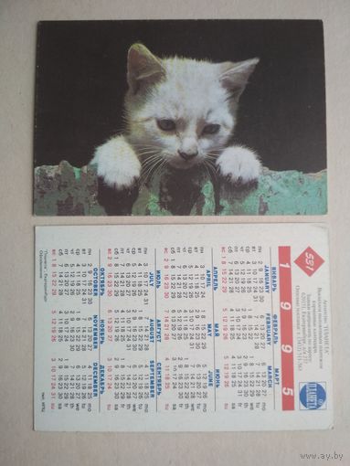 Карманный календарик.Кошки.1995 год