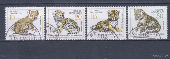 [745] Германия,ГДР 1978. Фауна.Дикие кошки.Детеныши. Гашеная серия.