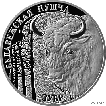 Зубр. Беловежская пуща, 20 рублей 2001