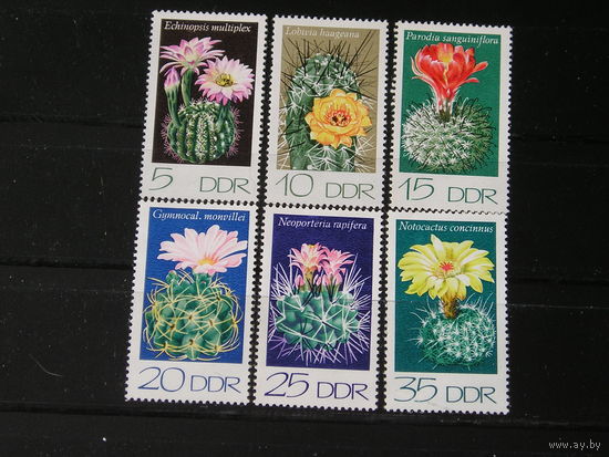 ГДР 1974, Кактусы
