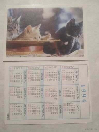 Карманный календарик. Котик.1994 год
