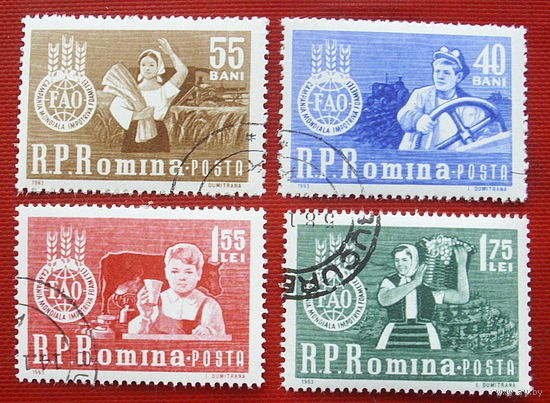 Румыния. Продовольственная программа. ( 4 марки ) 1963 года. 9-12.