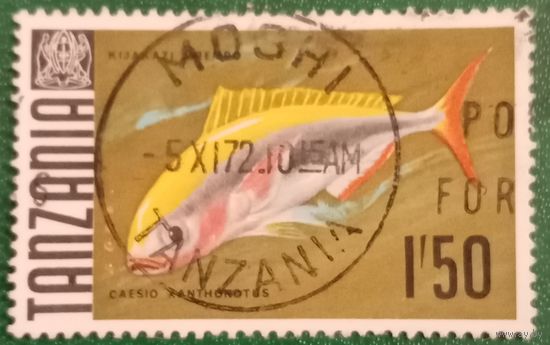 Танзания 1967. Фауна. Рыбы. Желтоспинный Цезий