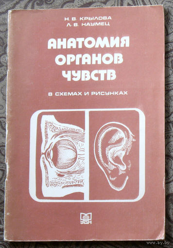 Анатомия органов чувств в схемах и рисунках.