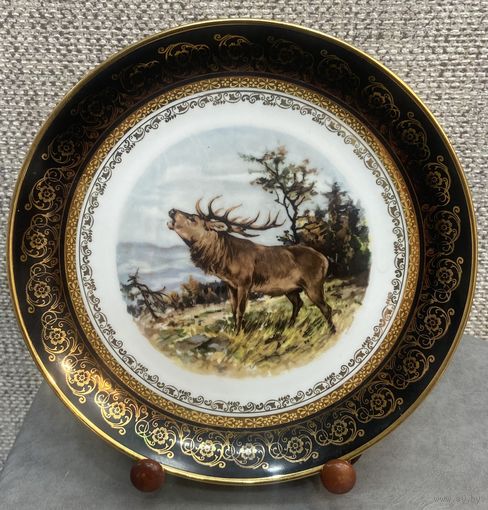 Охотничья фарфоровая тарелка Eschenbach Bavaria. Благородный олень . Германия 23.5 см.